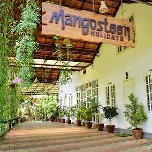Mangosteen Holidays ビサーリー